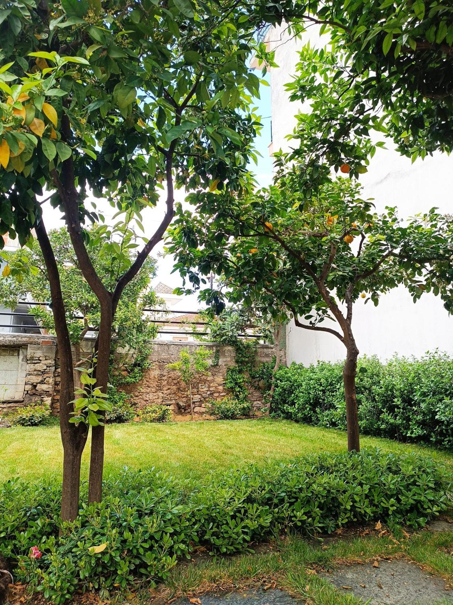 Betty'S Garden House Villa Nea Ankhialos Bagian luar foto