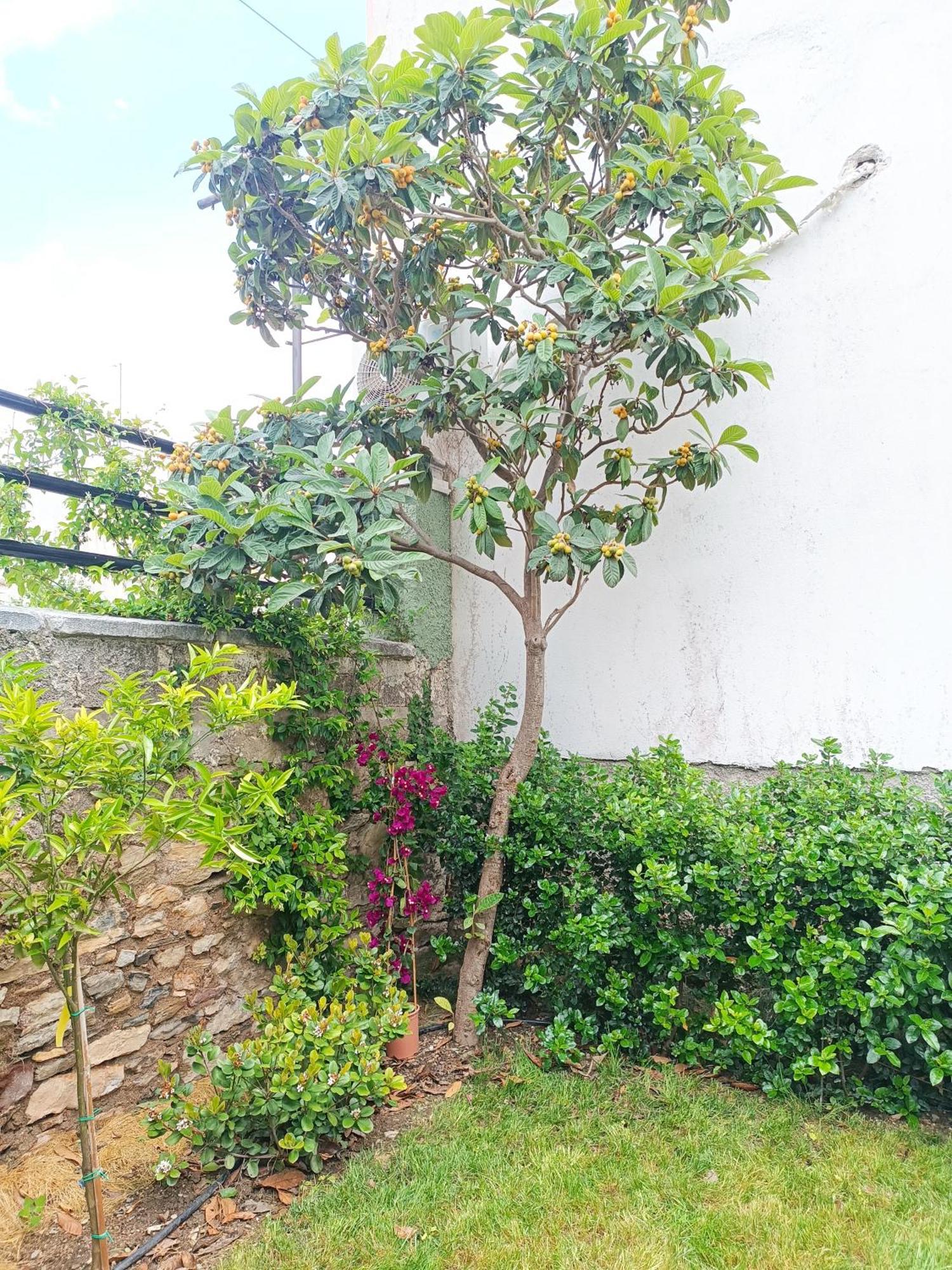 Betty'S Garden House Villa Nea Ankhialos Ruang foto
