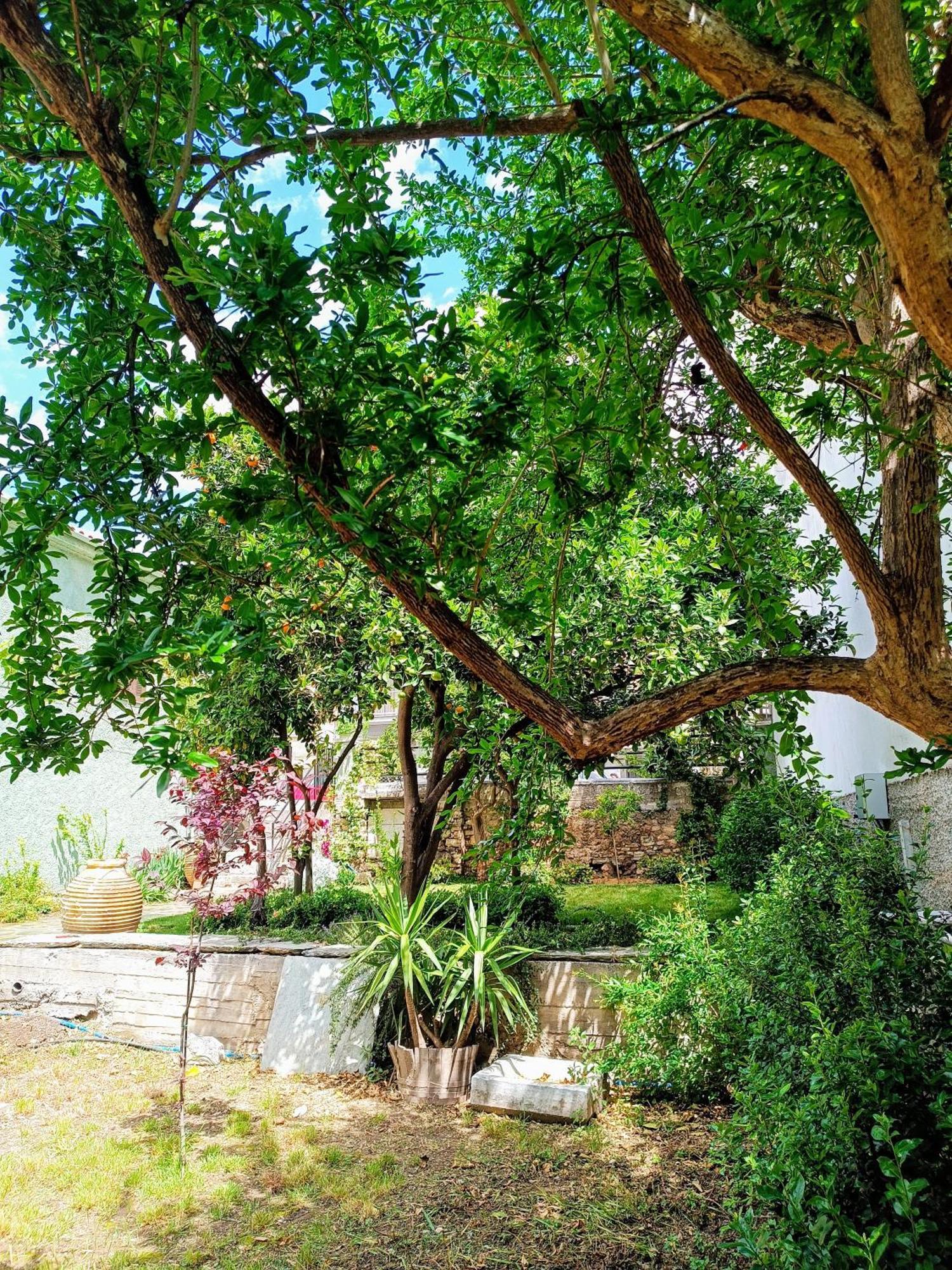 Betty'S Garden House Villa Nea Ankhialos Ruang foto